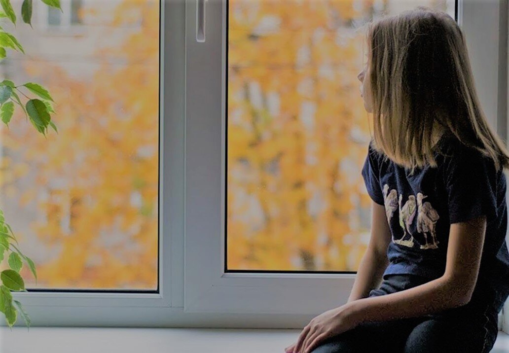 Яндекс. Картинки