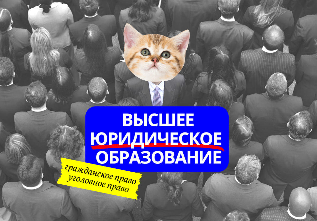 Специальности в сфере права: особенности и отличия | Университет «Синергия»  | Дзен