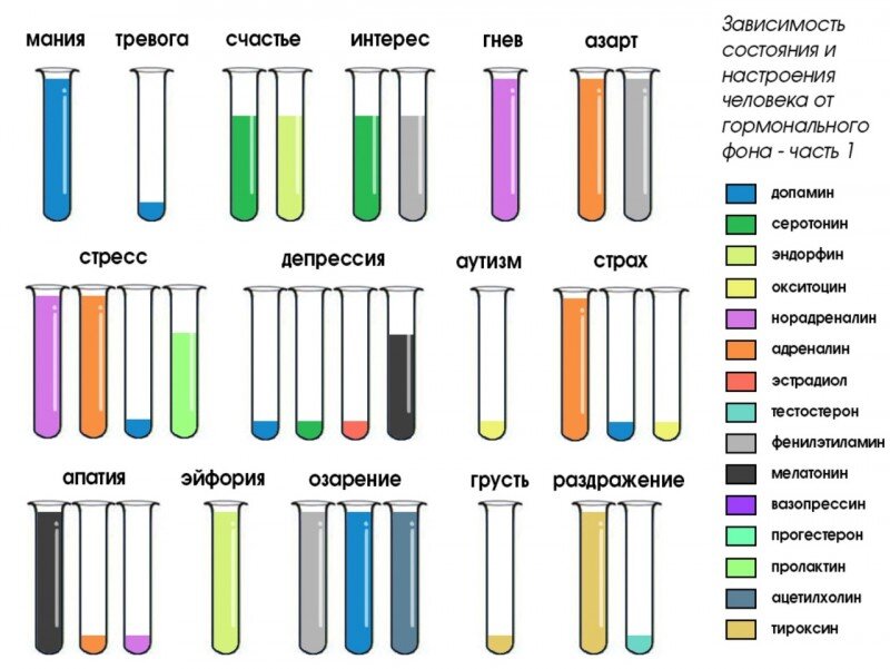 Гормоны в картинках