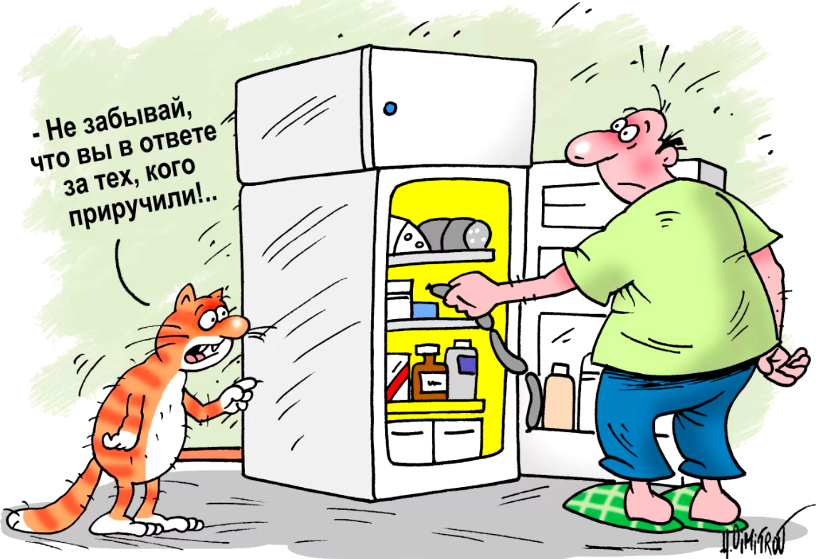 Смешные анекдоты про котов