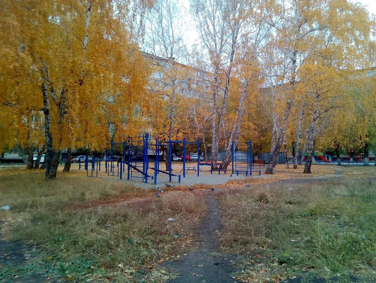 Погода менялась также быстро как я перемещалась между кабинетами врачей - золотая осень