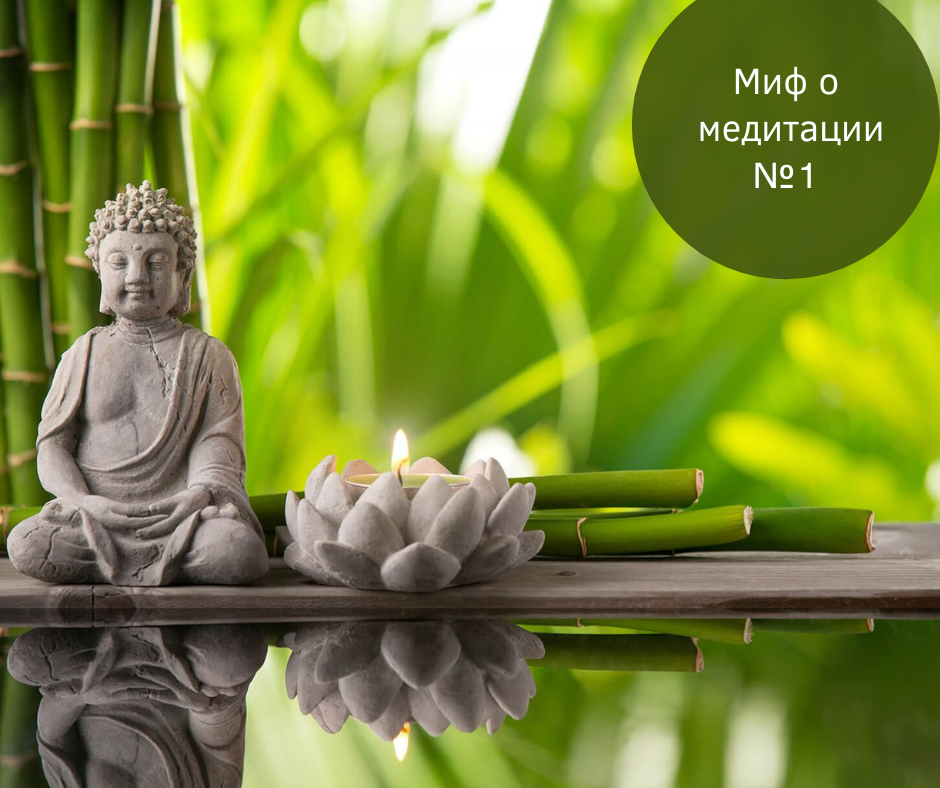 Сиди в тишине у пруда. Наблюдай.