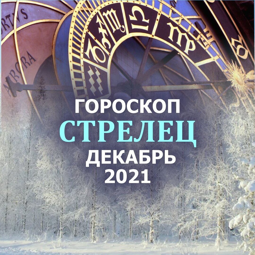 Стрелец гороскоп декабрь 2021: все самое лучшее, на что он способен |  Гороскопы от Астролога | Дзен