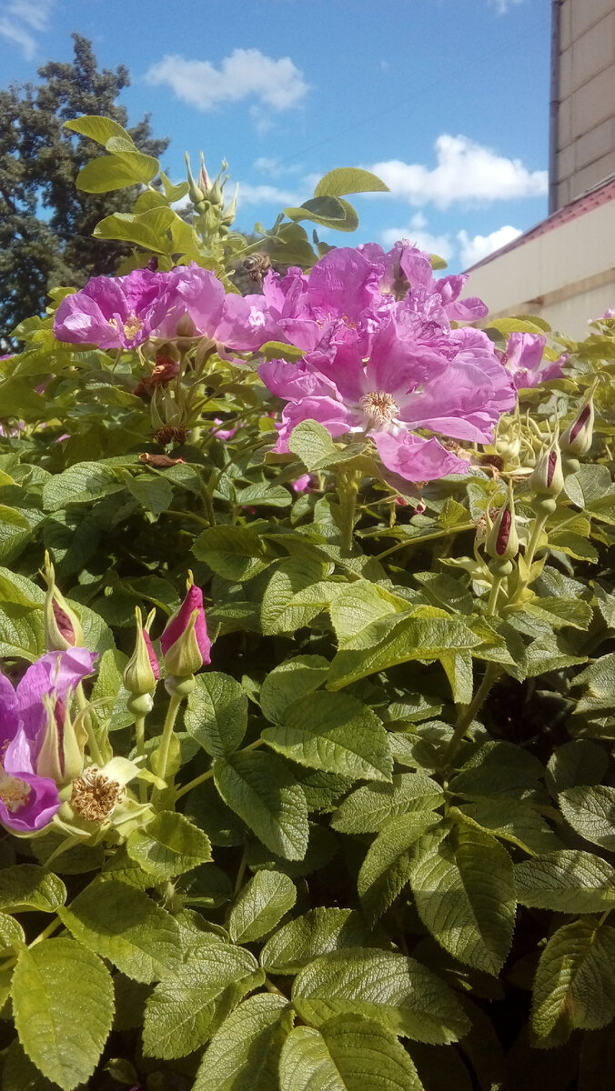 Фото автора