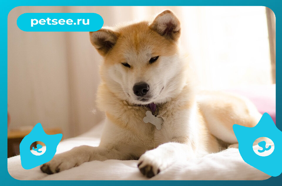 Источник: pixabay.com