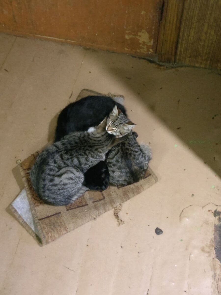 -1-2