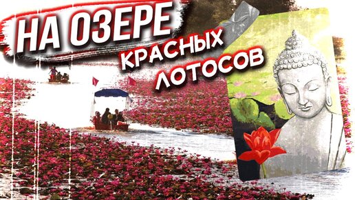 Озеро красных лотосов. Красивое путешествие в провинции Удон Тхани в Таиланде