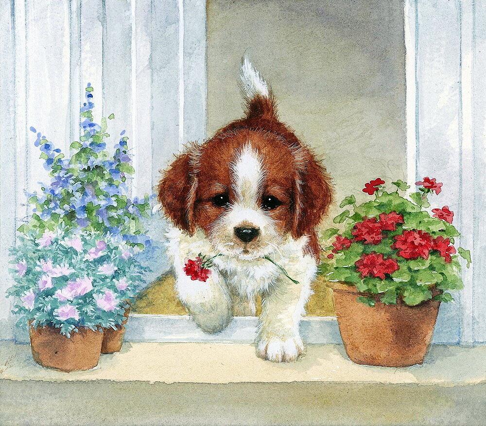    (Hazel Lincoln)