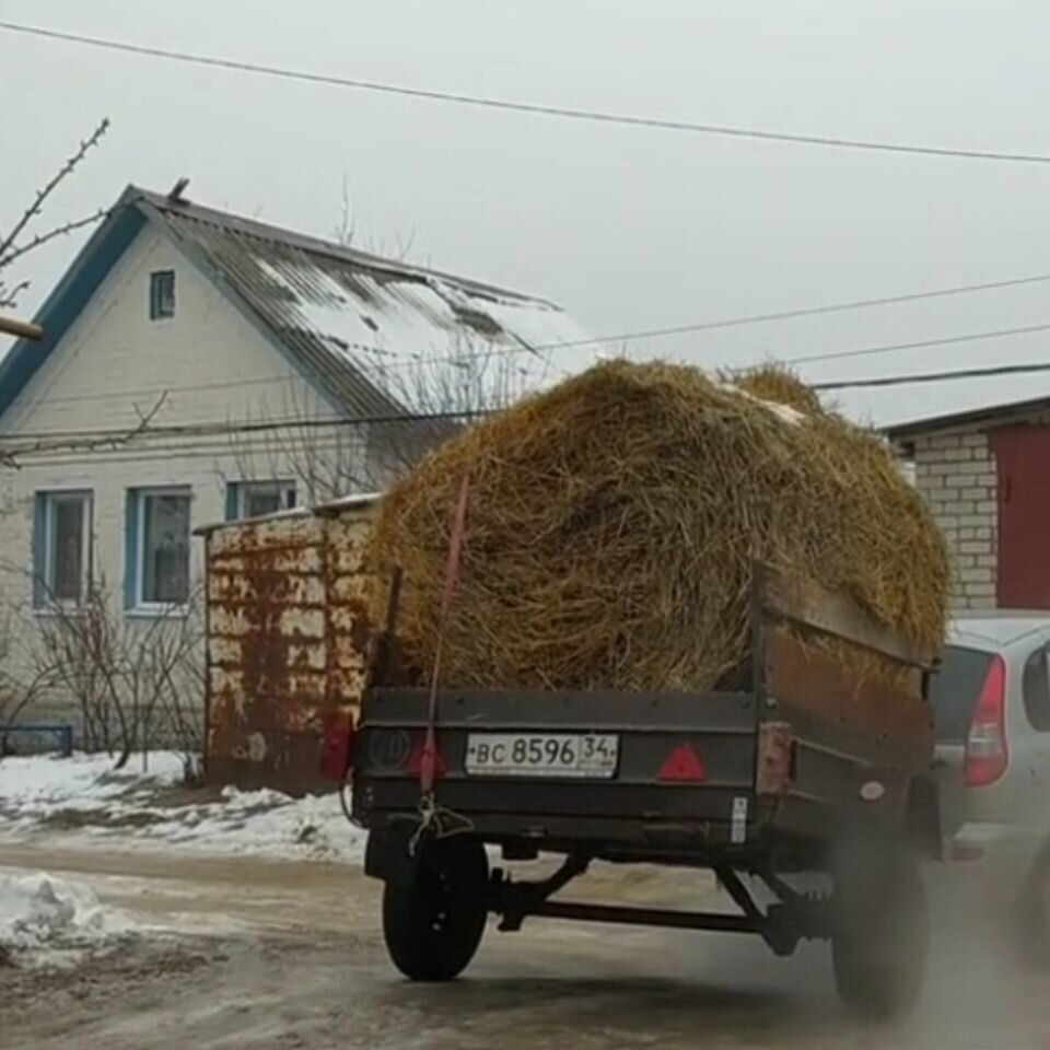 Купили машину на трассе. Понимание поступка пришло по дороге домой |  Татьяна Лёвина. Счастливый день | Дзен