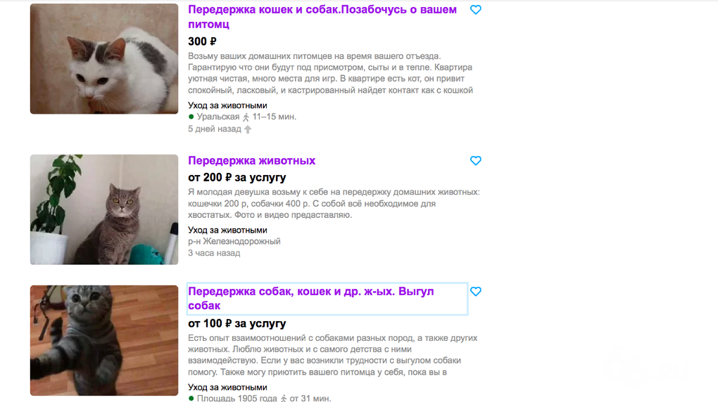 Фото: скриншот