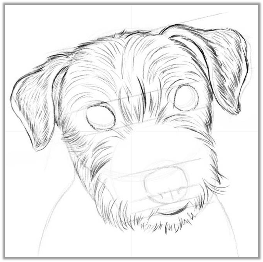 Как нарисовать СОБАКУ / Раскраска СОБАКА / рисование для детей / How to draw a dog for kids