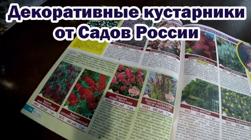 Смотрим каталог 