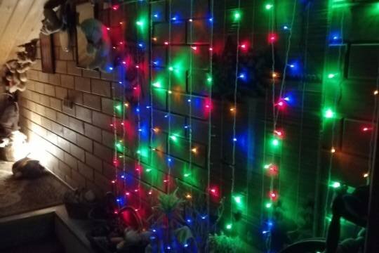    «Коммунисты России» предложили сократить новогодние праздники на время проведения спецоперации