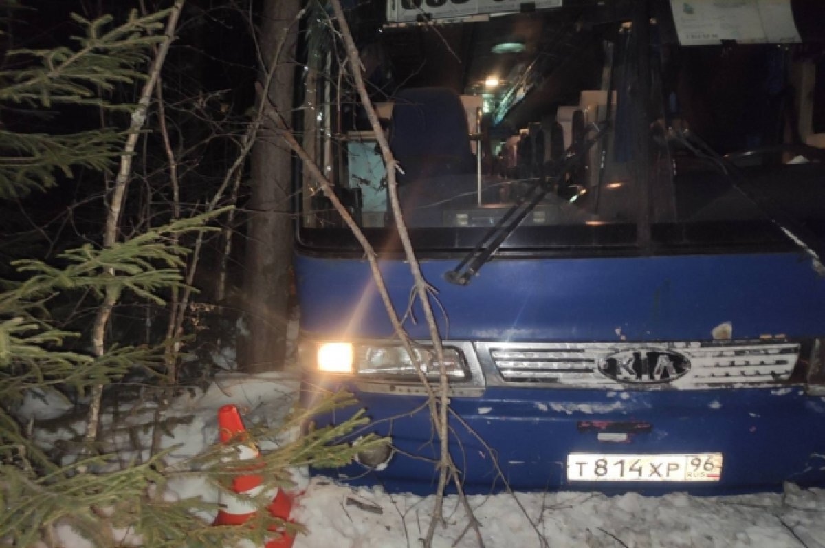    Пассажирский автобус улетел в кювет на трассе под Лесным