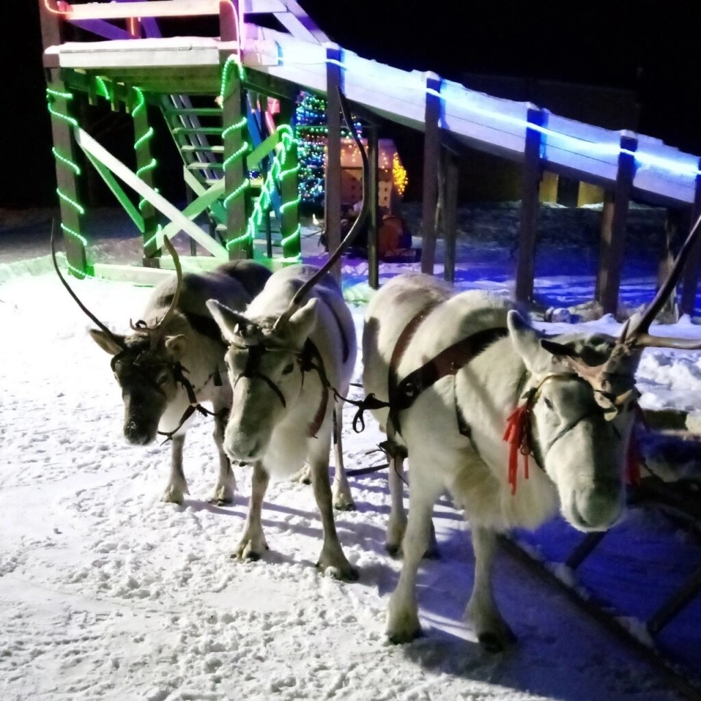 Источник фото: Уральская резиденция Деда Мороза (и олени) (vk.com)