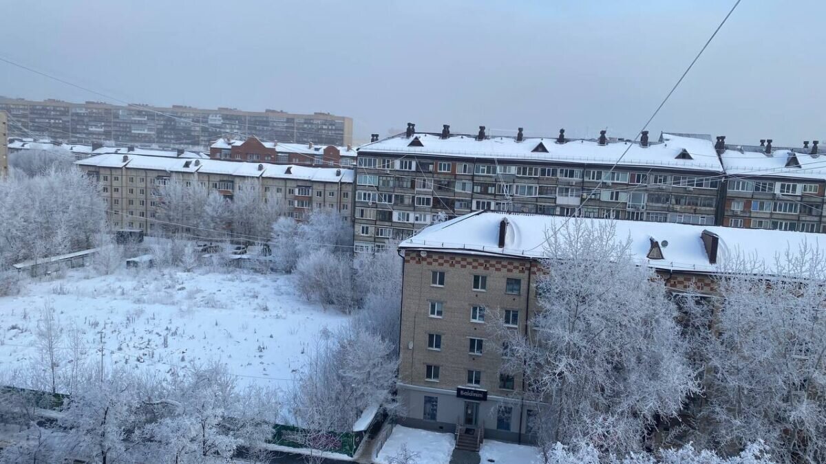 Фото: ИА SM.News📷
