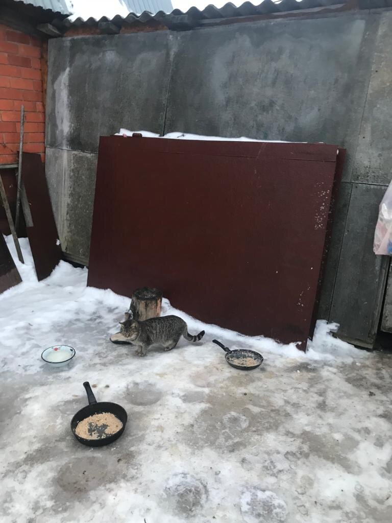 А это Никитка, его описывала Татьяна, как самого наглого. Но при нас никакой дедовщины не было 