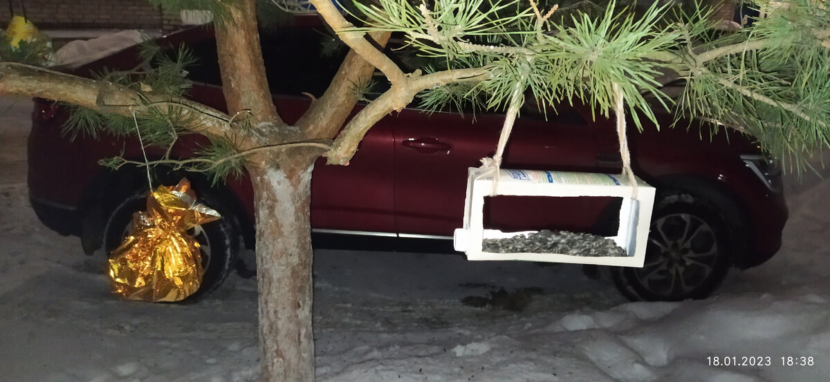 Фотография автора. Кормушка наша. 