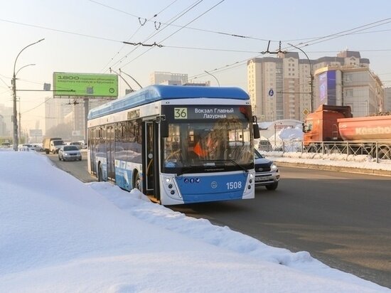     Фото: Густаво Зырянов / МК в Новосибирске