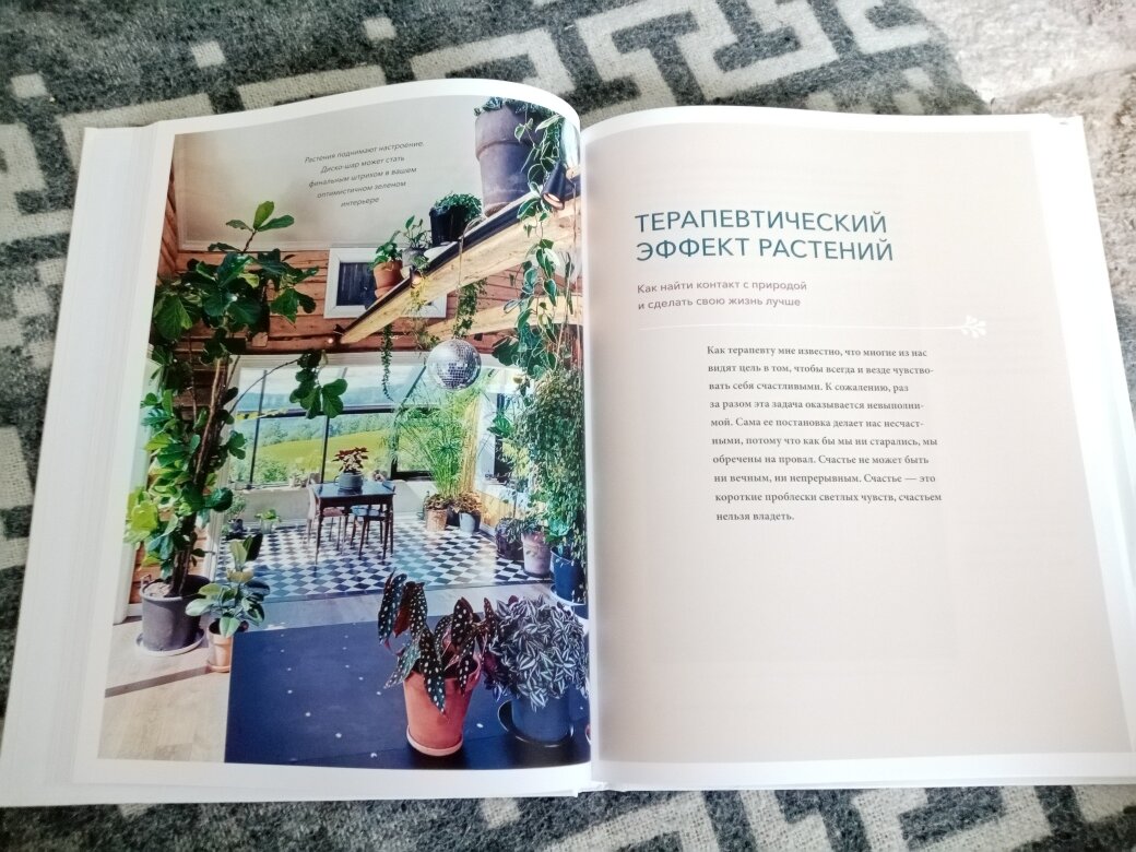 Всё о пользе общения с растениями. Фото автора.
