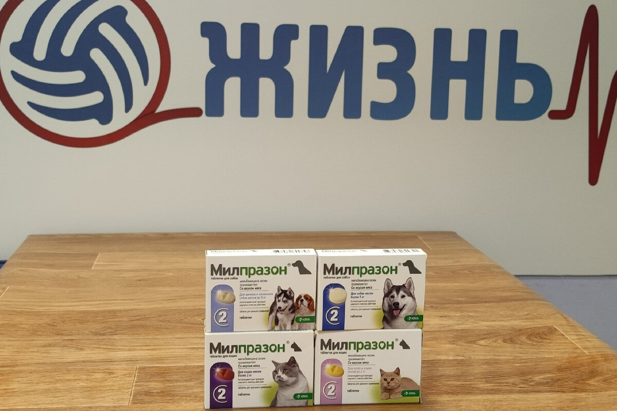 Милпразон таблетки от гельминтов для кошек и собак