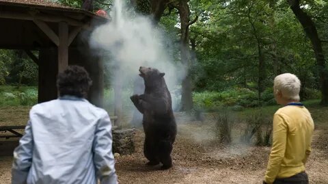 Фильм "Кокаиновый медведь" (2023)  триллер, комедия. 