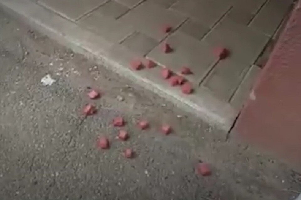     Сосиски были раскиданы вблизи жилых домов. Фото: скриншот видео