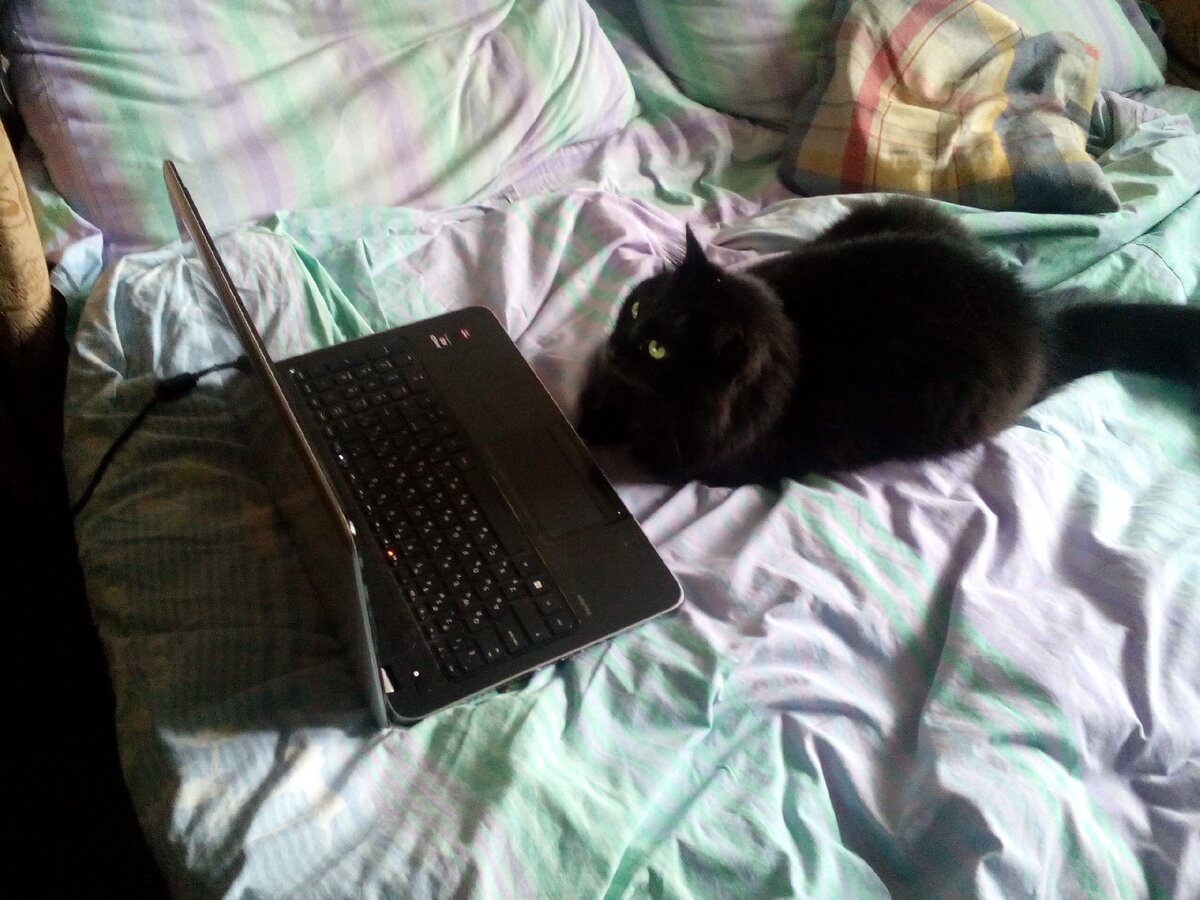 Ох и нелегко даётся грамота