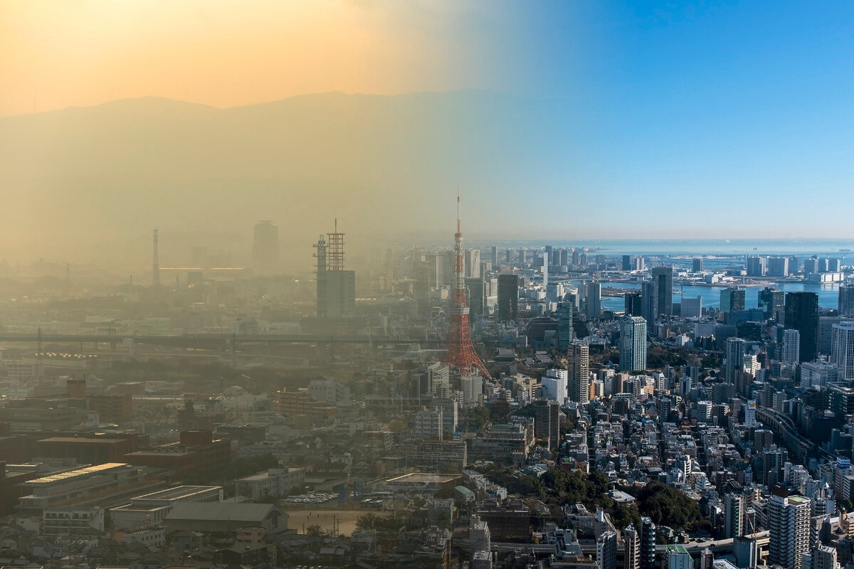 Яндекс картинки