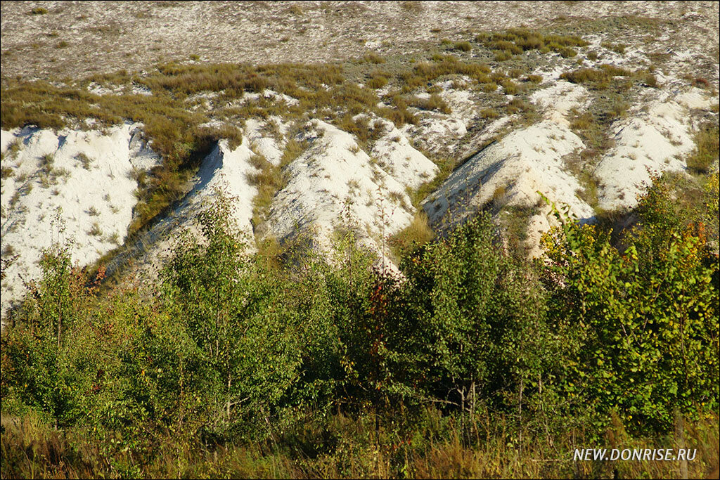 Подножье меловой горы