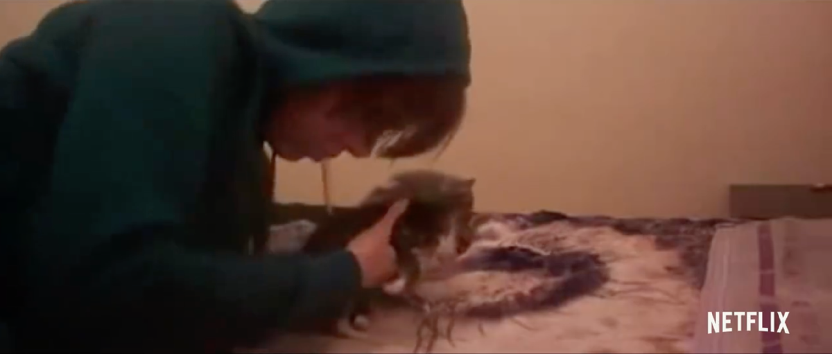 Кадр из документального сериала «Don’t`F**k With Cats» («Не связывайся с кошками») © Netflix