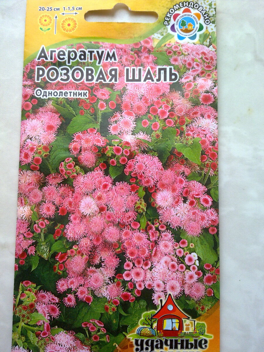 Пакетик