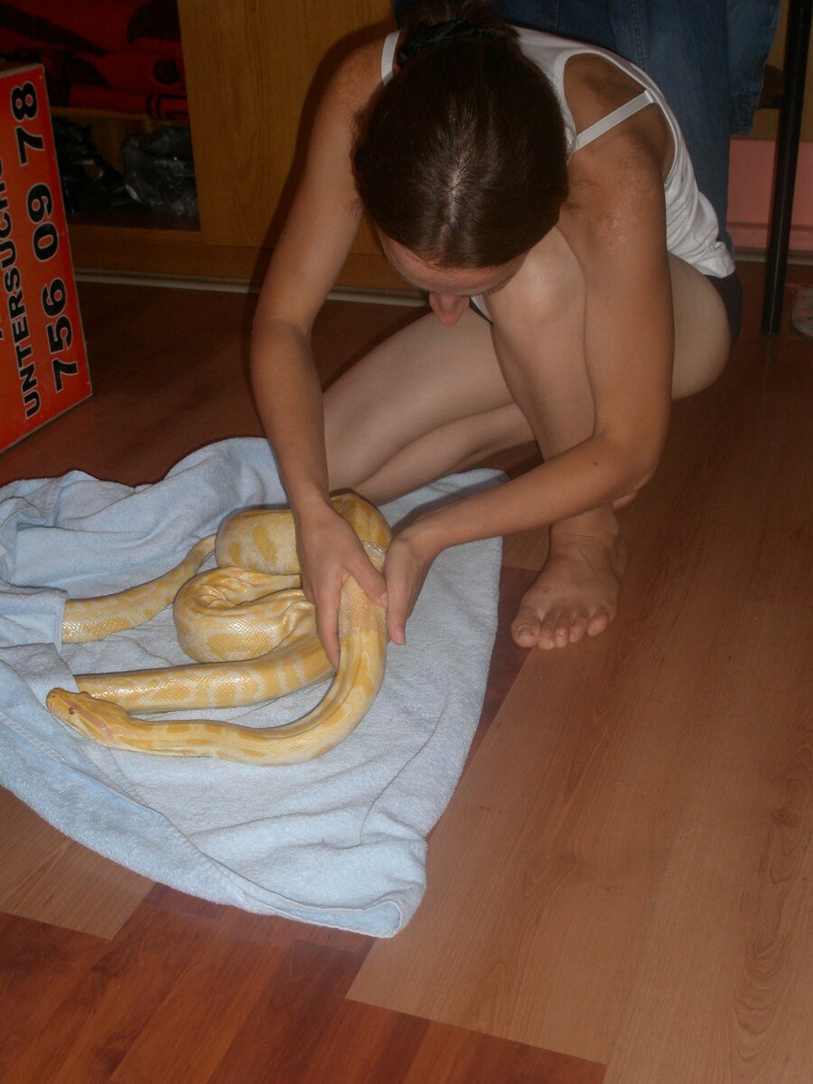 Айше помогает линьке своего питона