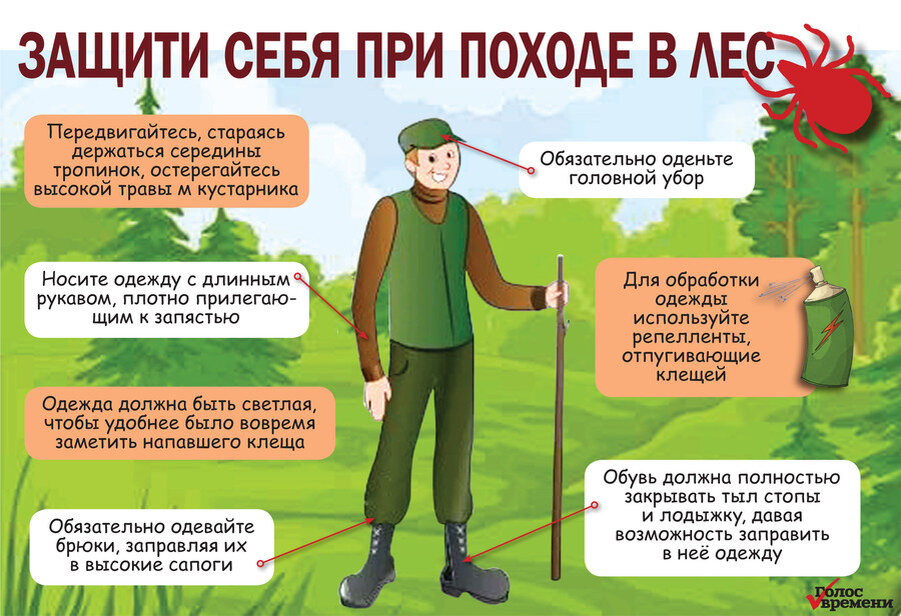 Рекомендации по защите от клещей