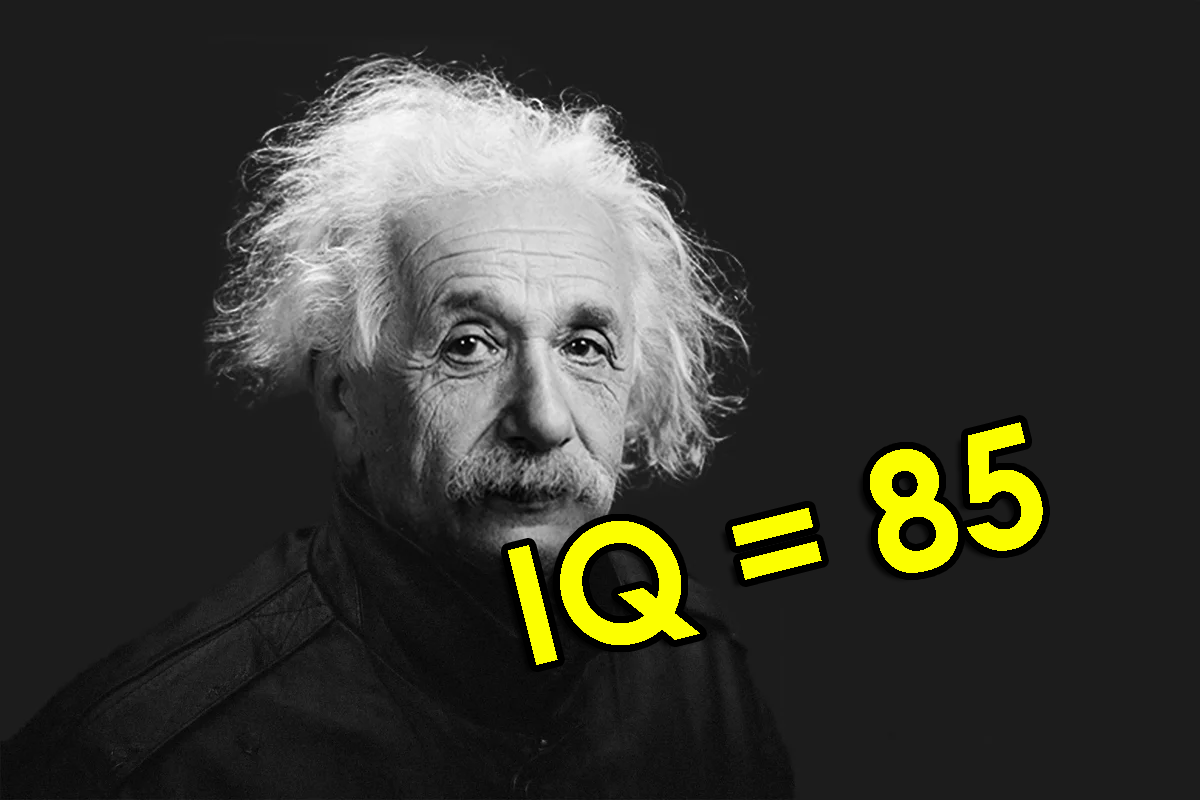 Iq гения. Эйнштейн интересные факты. Кот Эйнштейн. С каких IQ ты гении.