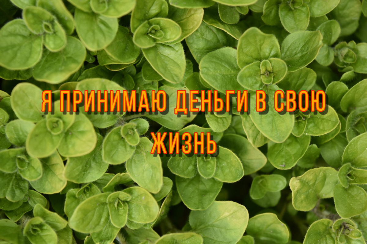 Произнеси вслух ❤️