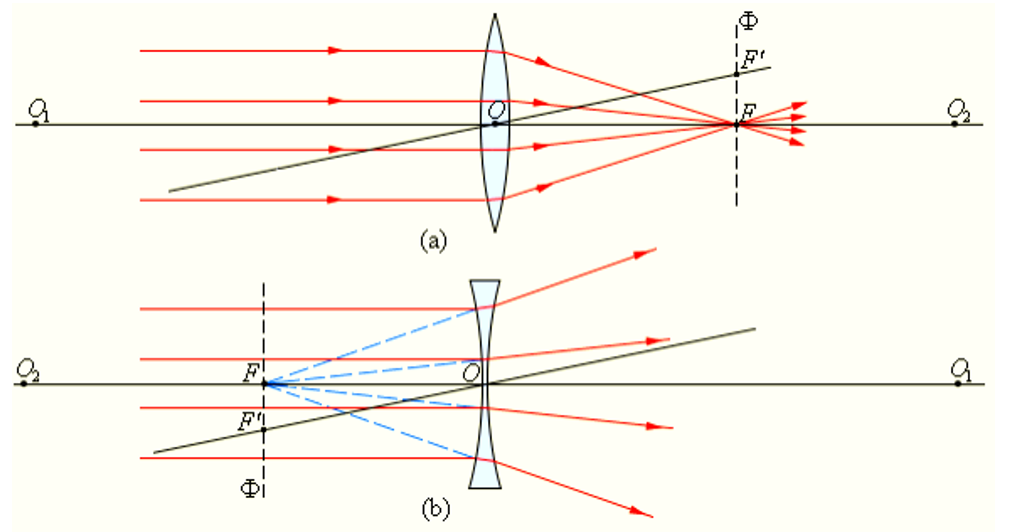 Параллельно линзе. Сферическая линза ход лучей. Оптический центр рассеивающей линзы главный фокус. Оптика линзы физика ход лучей. Оптика построение изображения рассеивающая.