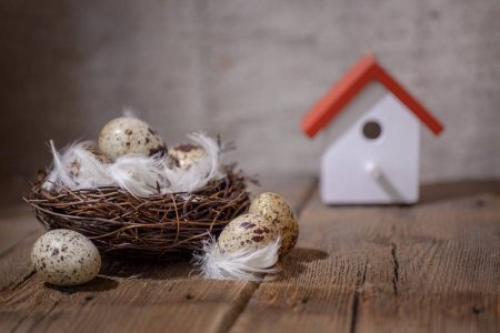 https://st3.depositphotos.com/20659180/34355/i/1600/depositphotos_343554540-stock-photo-nest-wooden-background-eggs-feathers.jpg