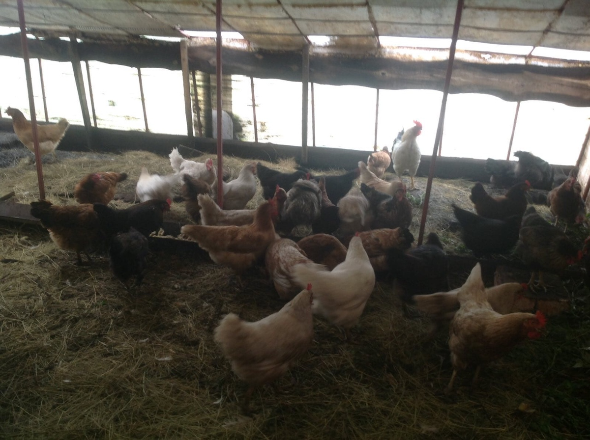 фото из личного архива