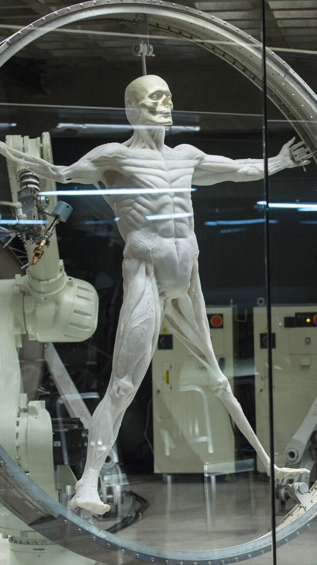 Кадр из сериала