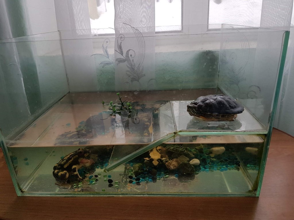 Изображение с  сайта Яндекс картинки