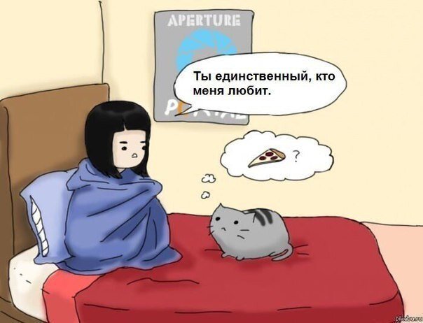 друг. Источник: yandex.com