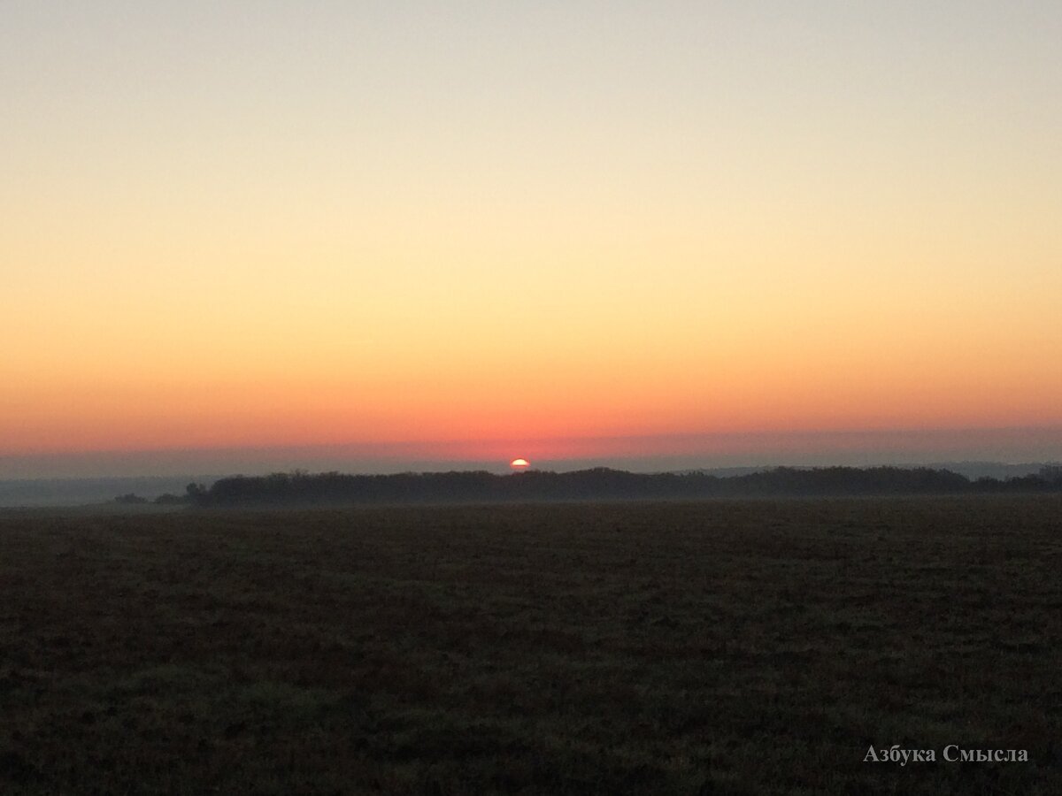 Поле ровное - морем кажется...