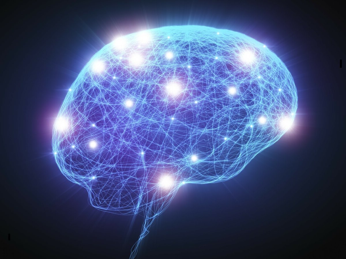 Нейронные связи