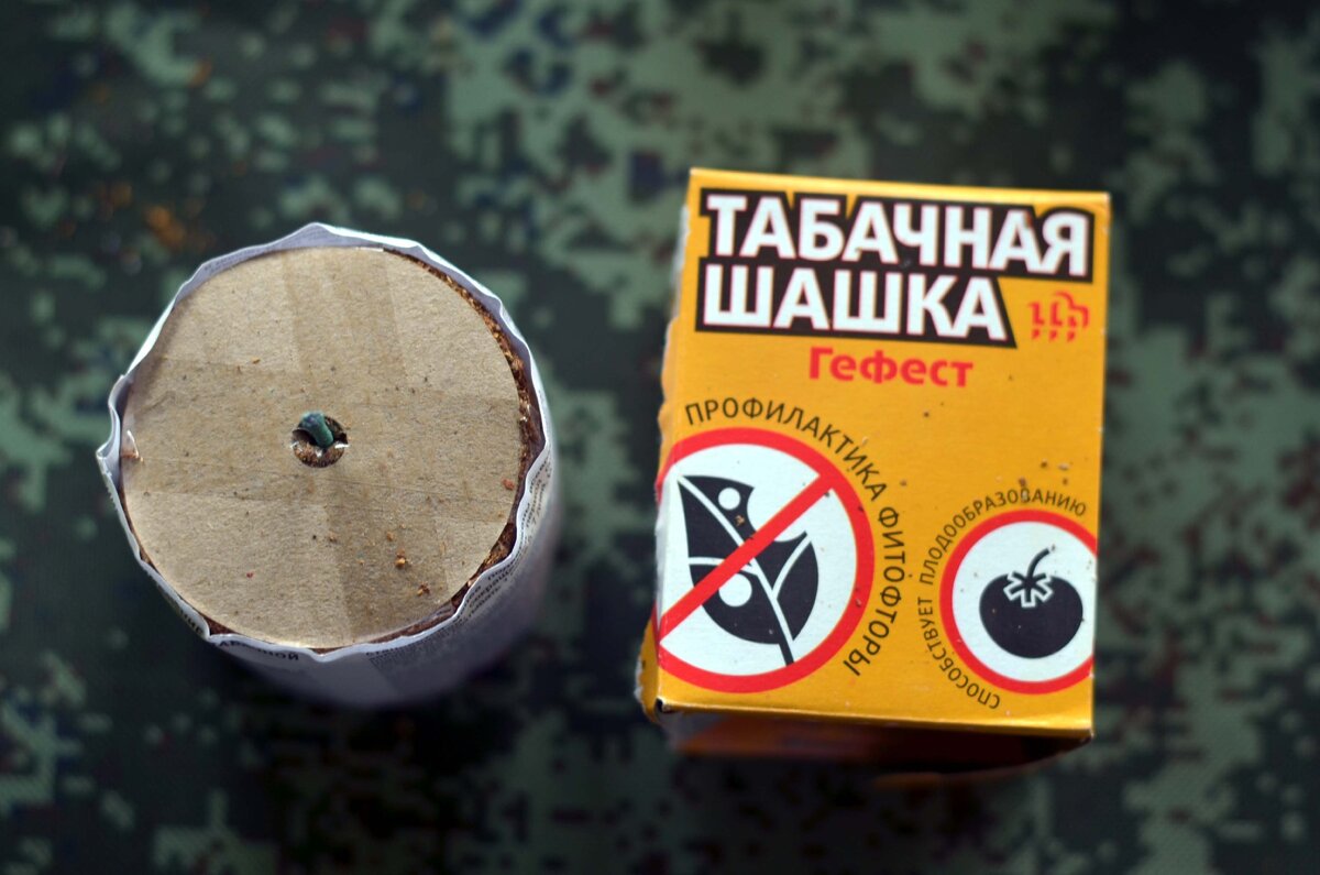 Шашка Гефест для теплиц
