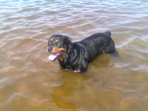 Вот он, солнце моё рыжее.