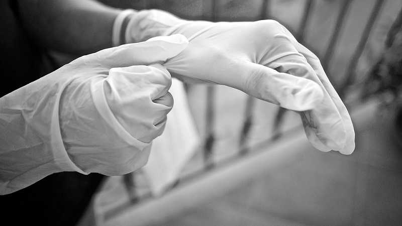  Фото: pixabay.com