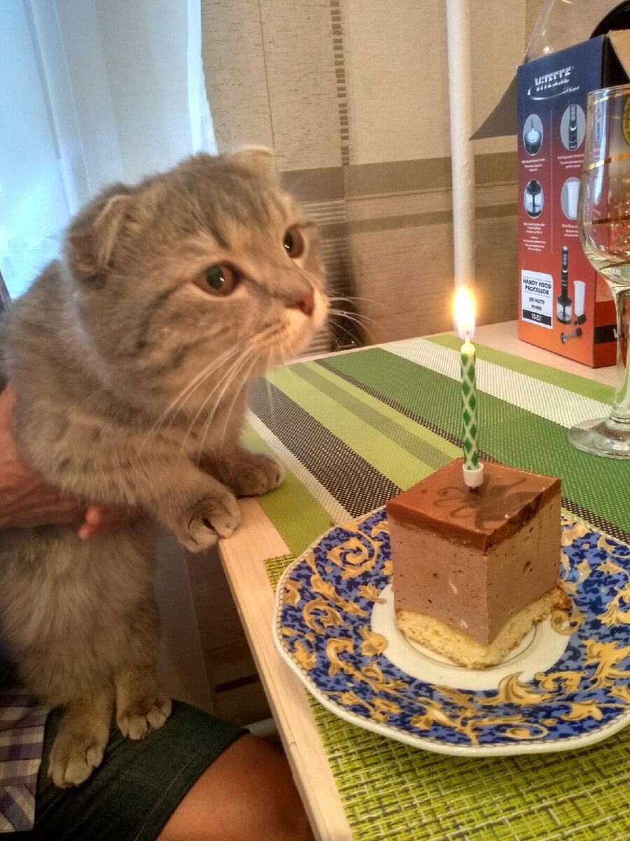 первый день рождения