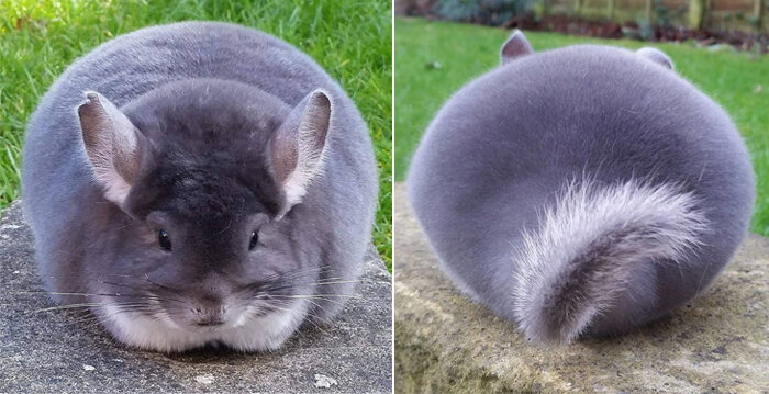 Источник: vk.com