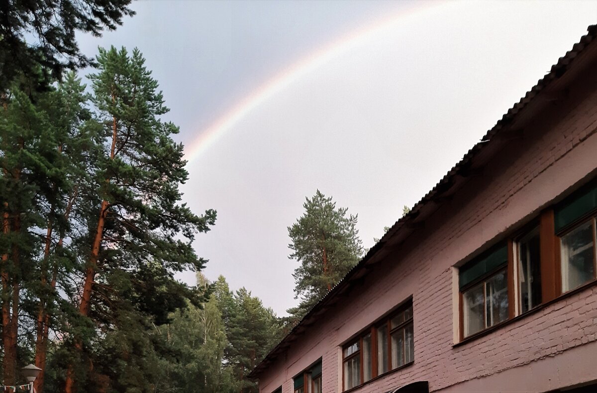 After rain in summer 2019